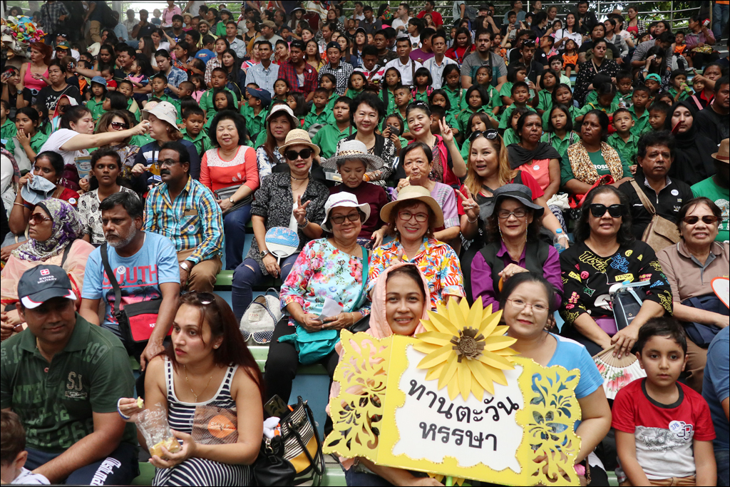 โครงการทานตะวนหรรษา2